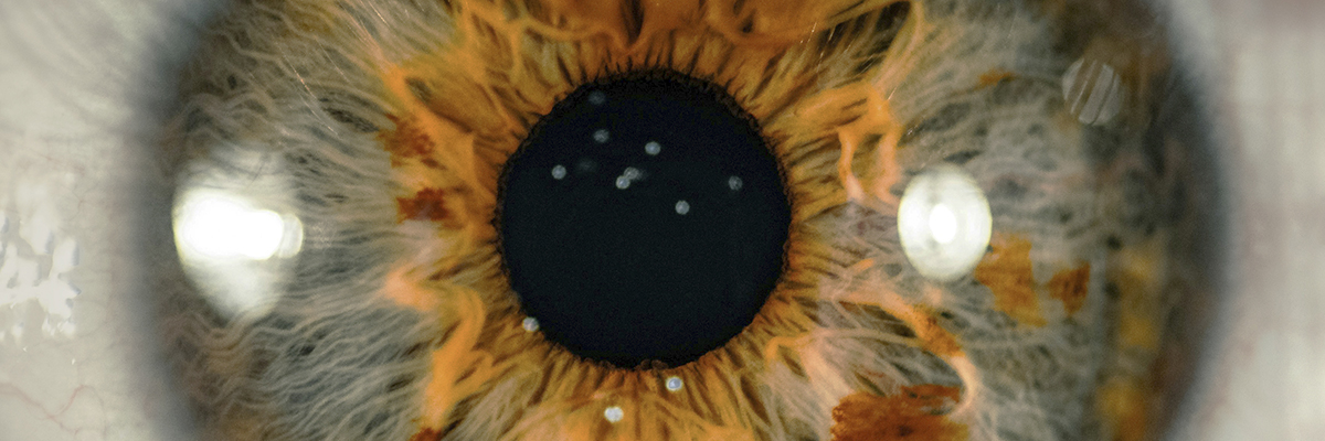 O Que é a Consciência? Descubra Sua Verdadeira Natureza